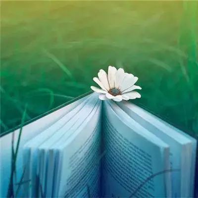 像素人快跑手游(暂未上线)v1.0 安卓版