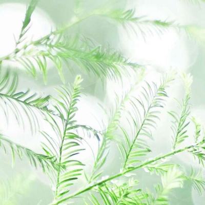 皓月龙城手游官方